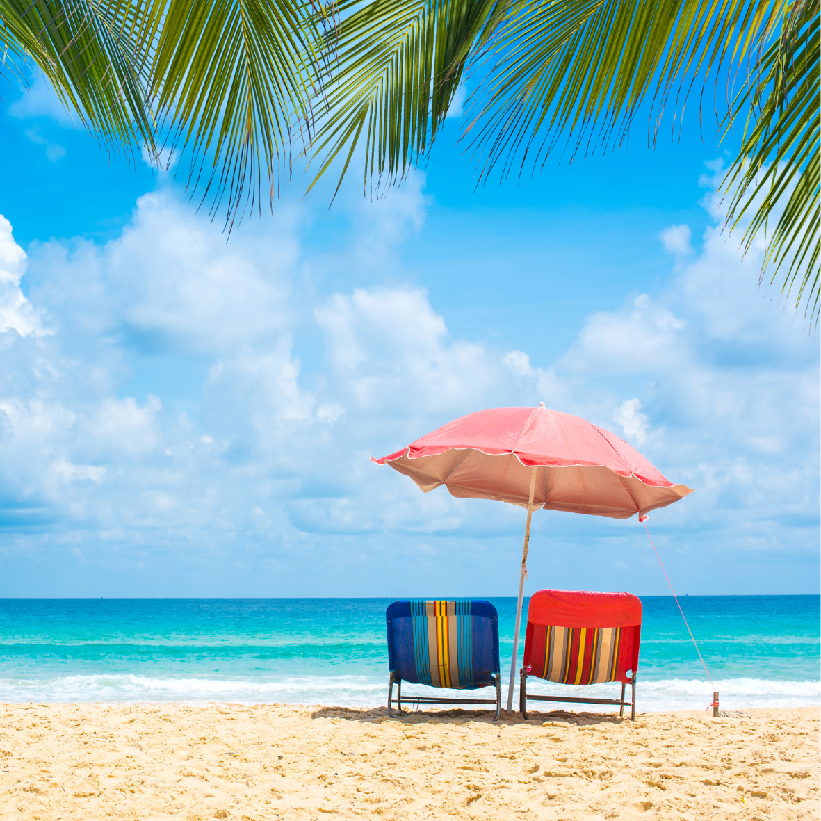 セブプログループトラベルソリューションズのMICE