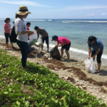 セブプログループトラベルソリューションズのSDGsツアービーチクリーンアップ