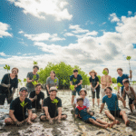 セブプログループトラベルソリューションズのSDGsツアーマングローブ