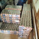 セブ島食糧支援